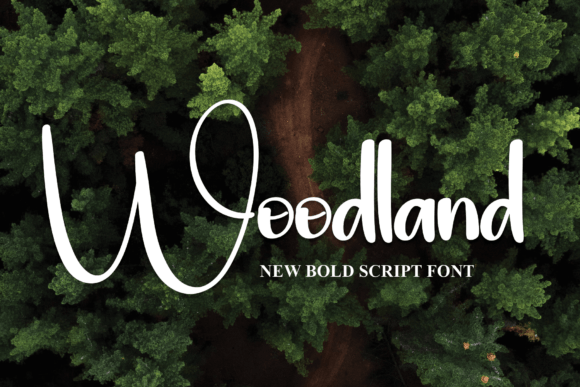 Woodland: A Bold Typeface for High-Impact Design